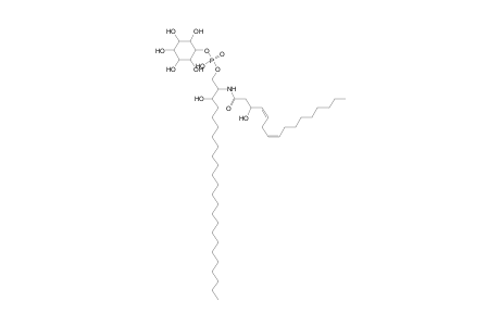 PI-Cer 24:0;2O/16:2;O