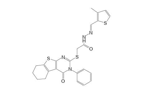 N'-[(E)-(3-methyl-2-thienyl)methylidene]-2-[(4-oxo-3-phenyl-3,4,5,6,7,8-hexahydro[1]benzothieno[2,3-d]pyrimidin-2-yl)sulfanyl]acetohydrazide