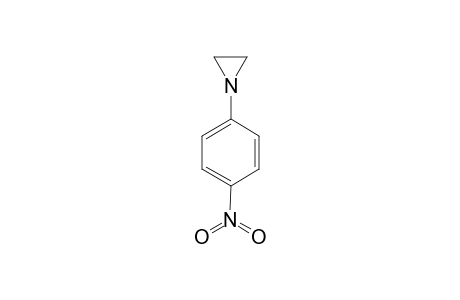 N-(4-NITROPHENYL)-AZIRIDINE