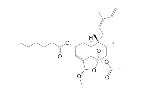 CASEARGREWIIN_J;REL-(2-R,5-S,6-S,8-R,9-R,10-S,18-S,19-S)-18-METHOXY,19-ACETOXY-18,19-EPOXY-2-HEXANOYLOXY-6-HYDROXYCLERODY-3,12-(Z),14-TRIENE