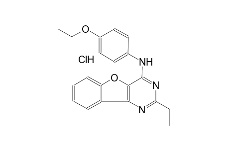N-(4-ethoxyphenyl)-2-ethyl[1]benzofuro[3,2-d]pyrimidin-4-amine hydrochloride