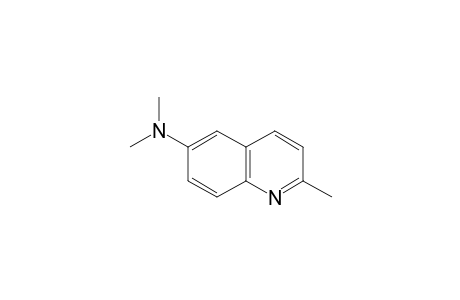 6-(dimethylamino)quinaldine