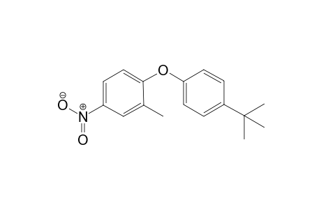 1-(4-(tert-butyl)phenoxy)-2-methyl-4-nitrobenzene