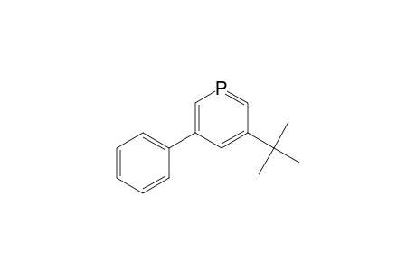 Phosphorin, 3-(1,1-dimethylethyl)-5-phenyl-