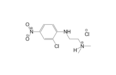 ethanaminium, 2-[(2-chloro-4-nitrophenyl)amino]-N,N-dimethyl-, chloride