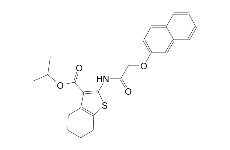 isopropyl 2-{[(2-naphthyloxy)acetyl]amino}-4,5,6,7-tetrahydro-1-benzothiophene-3-carboxylate