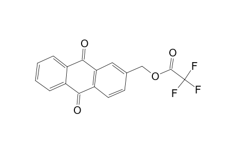 Acetic acid, trifluoro-, (9,10-dihydro-9,10-dioxo-2-anthracenyl)methyl ester