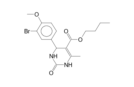 6-methyl-5-butoxycarbonyl-4-(3-bromo-4-methoxyphenyl)-1,2,3,4-tetrahydropyrimidine-2-one