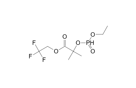 2,2,2-trifluoroethyl 2-[(ethoxyphosphinyl)oxy]-2-methylpropanoate
