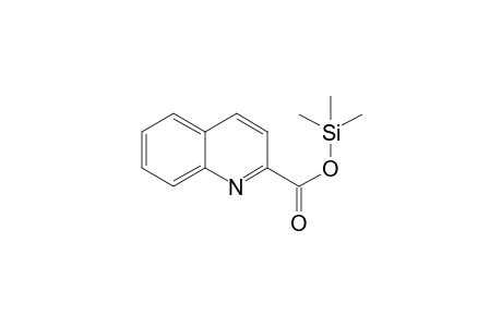 quinaldic acid, 1TMS