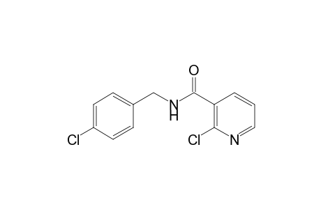 2-Chloro-N-(4-chlorobenzyl)nicotinamide
