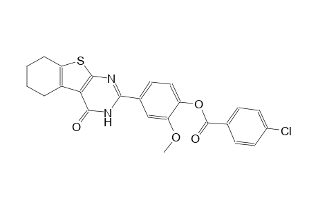 benzoic acid, 4-chloro-, 4-(3,4,5,6,7,8-hexahydro-4-oxobenzo[4,5]thieno[2,3-d]pyrimidin-2-yl)-2-methoxyphenyl ester