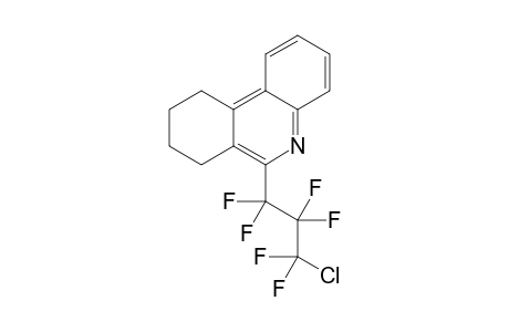7,8,9,10-Tetrahydro-6-(1',1',2',2',3',3'-hexafluoro-3'-chloropropyl)phenanthridine