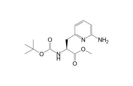 (2S)-[N-(t-Butoxycarbonyl)amino]-3-(6'-aminopyrid-2'-yl)propionic acid - Methyl ester