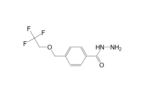 4-[(2,2,2-trifluoroethoxy)methyl]benzohydrazide