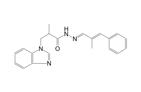 3-(1H-benzimidazol-1-yl)-2-methyl-N'-[(E,2E)-2-methyl-3-phenyl-2-propenylidene]propanohydrazide
