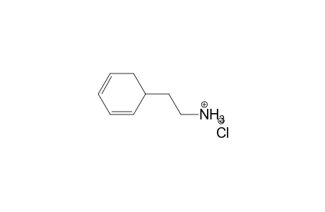 [2-(2,4-Cyclohexadienyl)ethyl]ammonium Chloride