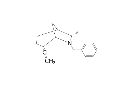 ENDO-6-BENZYL-7-METHYL-4-VINYLIDENE-6-AZABICYCLO-[3.2.1]-OCTANE