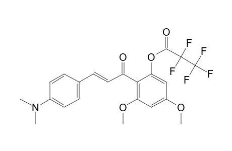 4',6'-Dimethoxy-4-dimethylamino-2'-hydroxychalcone, pentafluoropropionate