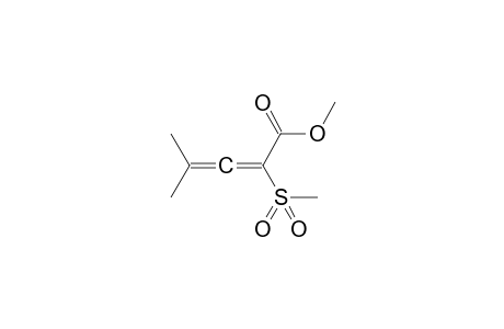 2-mesyl-4-methyl-penta-2,3-dienoic acid methyl ester