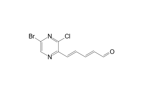 (2E,4E)-5-(3'-chloro-5'-bromopyrazin-2'-yl)penta-2,4-dienal