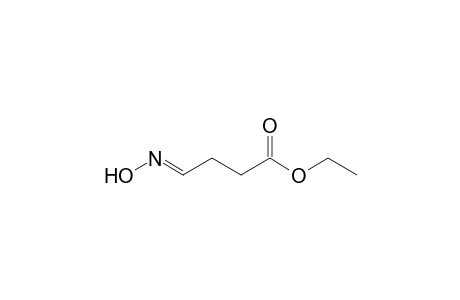 Ethyl 4-isonitrosobutanoate