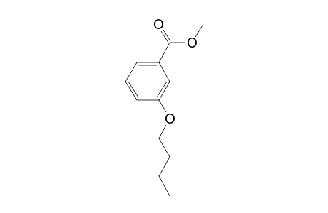 Benzoic acid, 3-butyloxy-, methyl ester