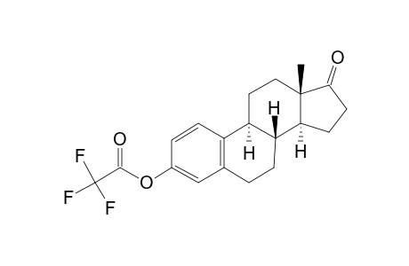 Estrone, trifluoroacetate