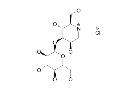 1,5-DIDEOXY-3-O-(ALPHA-D-GLUCOPYRANOSYL)-1,5-IMINO-D-MANNITOL-HYDROCHLORIDE