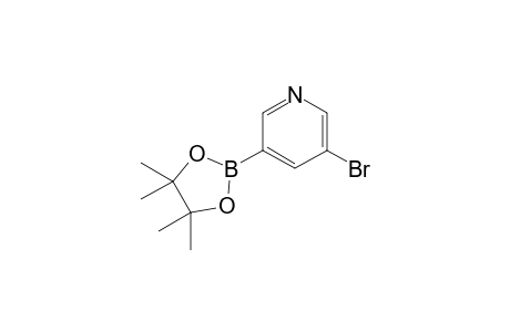 3-(4,4,5,5-Tetramethyl-1,3,2-dioxaborolan-2-yl)-5-bromopyridine