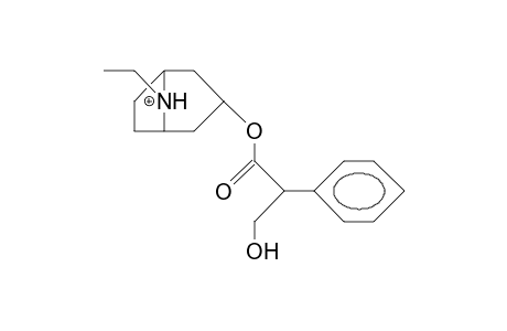 N-Ethyl-noratropinium cation (anti-ethyl)
