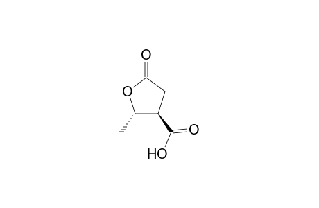 trans-5-Oxo-2-methyl-tetrahydrofuran-3-carboxylic Acid