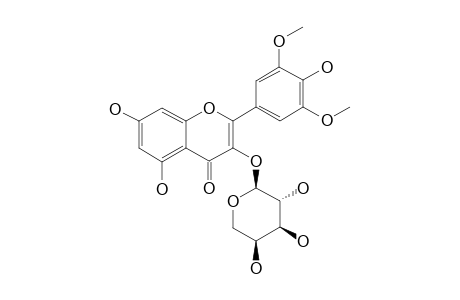 MYRSEGUINOSIDE-C;3',5'-O-DIMETHYL-MYRICETIN-3-O-ALPHA-L-ARABINOPYRANOSIDE