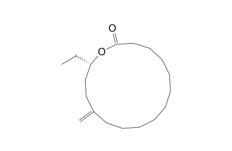 (15S)-(+)-12-Methylene-15-heptadecanolide
