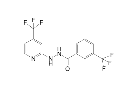 3-(Trifluoromethyl)-N'-[4-(trifluoromethyl)pyridin-2-yl]benzohydrazide