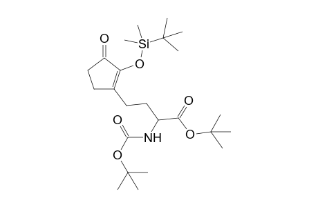 2-tert-Butoxycarbonylamino-4-[2-(tert-butyl-dimethyl-silanyloxy)-3-oxocyclopent-1-enyl]-butyric acid tert-butyl ester
