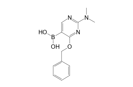 [2-(dimethylamino)-4-phenylmethoxy-5-pyrimidinyl]boronic acid