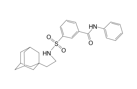 3-[2-(1-adamantyl)ethylsulfamoyl]-N-phenyl-benzamide