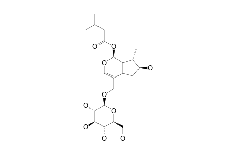10-DEOXYPATRINOSIDE