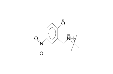 2-tert-butylammoniomethyl-4-nitrophenolate