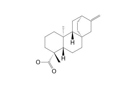 ent-Atis-16-en-19-oic Acid