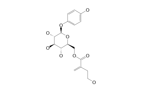 4-HYDROXYPHENYL-6-O-(4-HYDROXY-2-METHYLENE-BUTANOYL)-BETA-D-GLUCOPYRANOSIDE