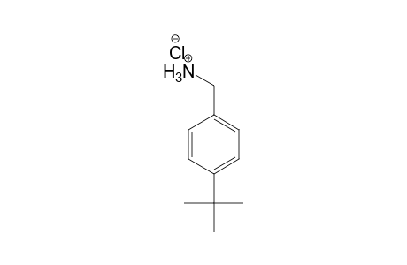 Benzenemethanamine, 4-(1,1-dimethylethyl)-, hydrochloride