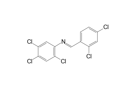N-(2,4-dichlorobenzylidene)-2,4,5-trichloroaniline