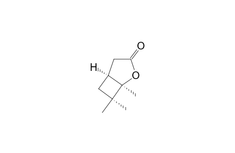 1,7,7-TRIMETHYL-2-OXA-BICYCLO-[3.2.0]-HEPTAN-3-ONE