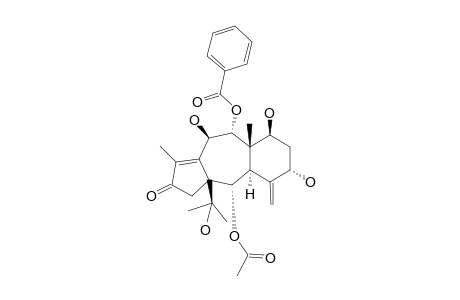 2-ALPHA-ACETOXY-9-ALPHA-BENZOYLOXY-5-ALPHA,7-BETA,10-BETA,15-TETRAHYDROXY-11-(15->1)-ABEOTAXA-4(20),11-DIEN-13-ONE