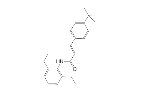 (2E)-3-(4-tert-butylphenyl)-N-(2,6-diethylphenyl)-2-propenamide