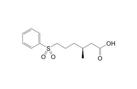 (3S)-6-Benzenesulfonyl-3-methylhexanoic acid