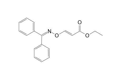 Ethyl 3-[(diphenylmethyl)imino]oxy-2-propenoate