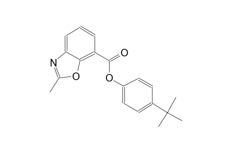 7-benzoxazolecarboxylic acid, 2-methyl-, 4-(1,1-dimethylethyl)phenylester